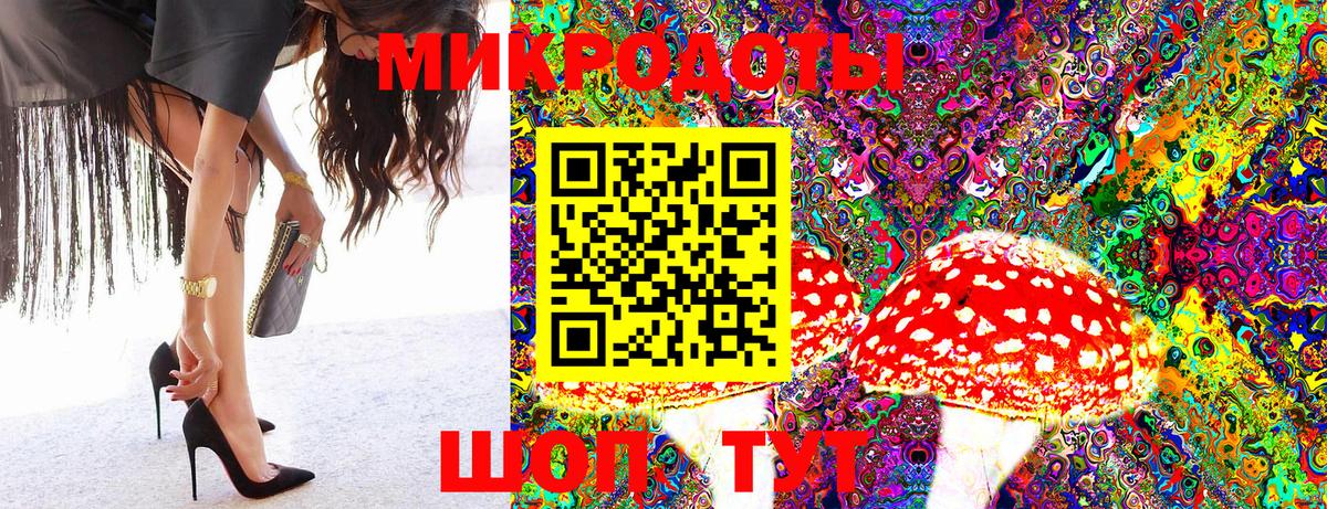 Галлюциногенные грибы MAGIC MUSHROOMS  Вход с VPN  Братск 