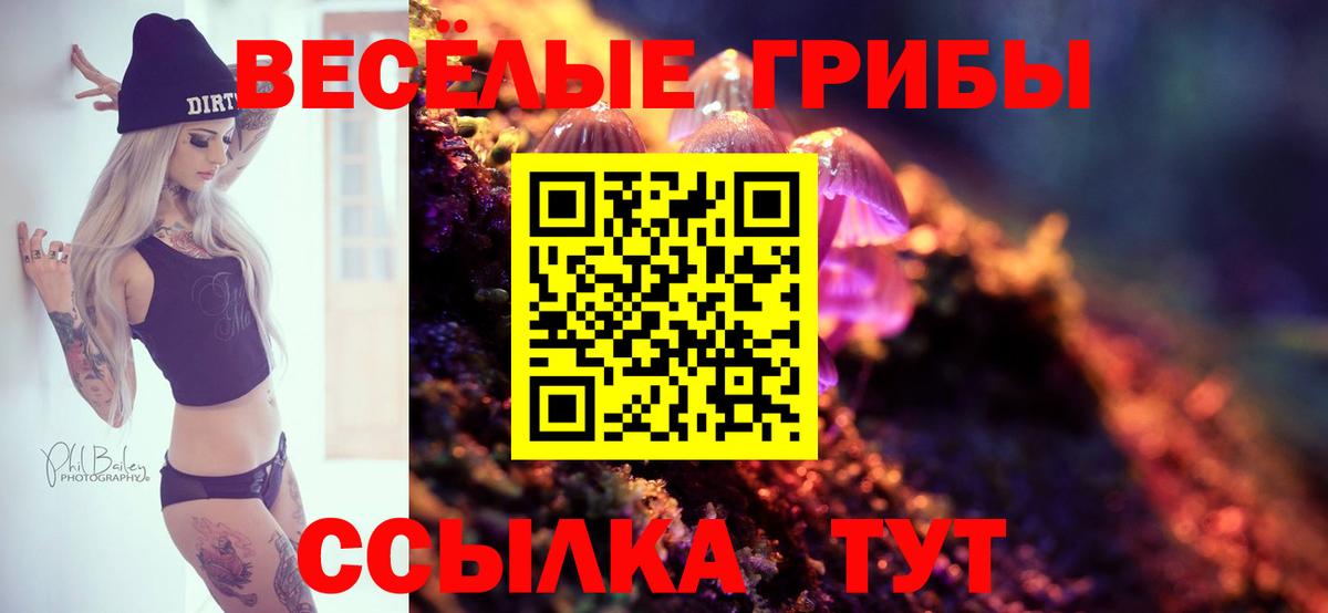 Галлюциногенные грибы прущие грибы Братск
